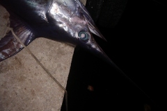 Rybarska-Dovolena-10